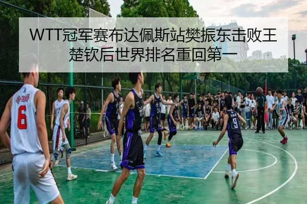WTT冠军赛布达佩斯站樊振东击败王楚钦后世界排名重回第一